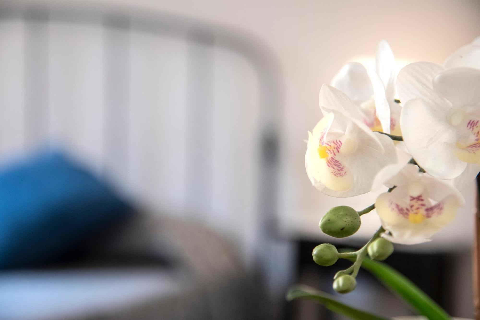 Gregorios San Pietro Hotel Roma Ngoại thất bức ảnh
